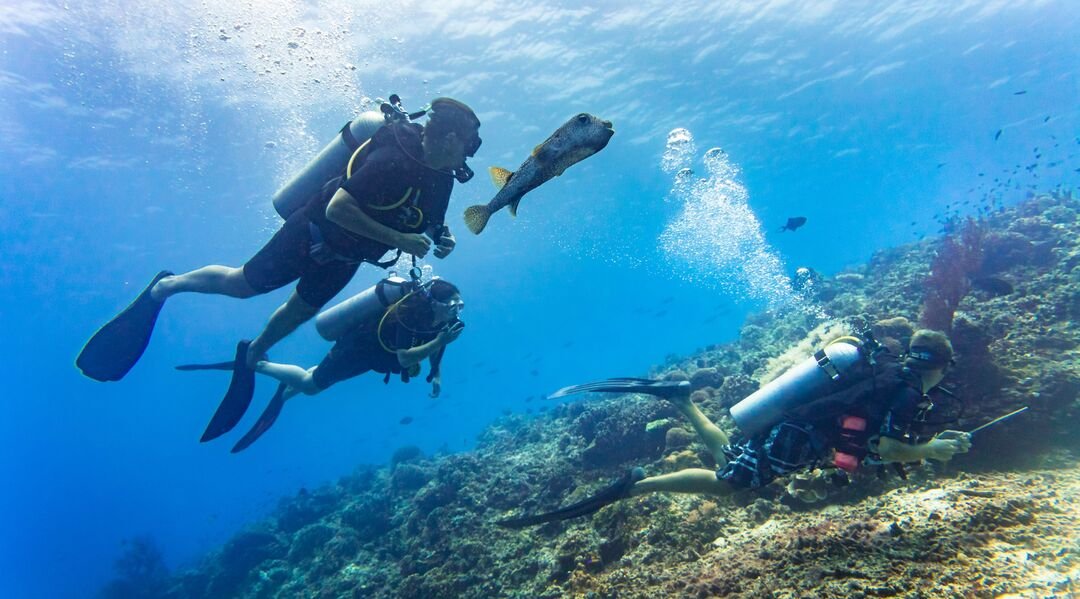 Tagesausflug Tauchen in Hurghada – 2 Tauchabenteuer