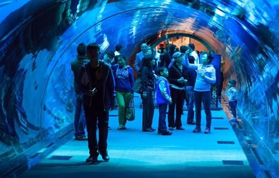 Hurghada Grand Aquarium Hurghada Grand Aquarium