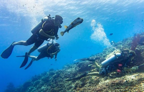 Tagesausflug zum Tauchen in Hurghada mit 2 Tauchabenteuern Tagesausflug zum Tauchen in Hurghada mit 2 Tauchabenteuern